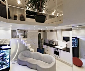 Stylish,luxury duplex Paris city center
