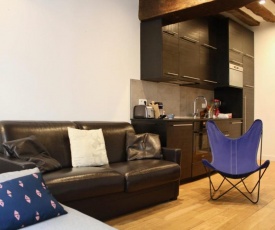 Lovely equipped apartment in the MARAIS